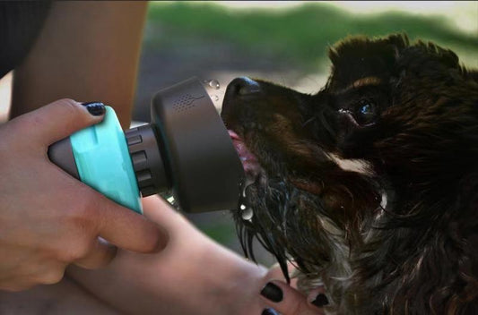 Troeteldier buite opvoubare bottel hond reis water bottel hond water dispenser